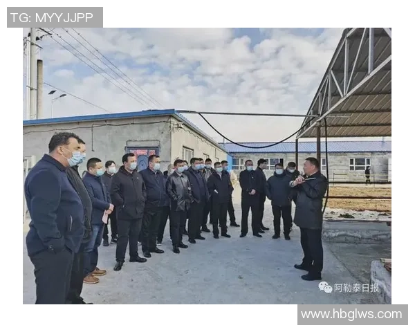 重庆乒乓球队的崛起之路：全国锦标赛背后的奋斗与坚持