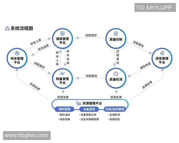 重庆羽毛球队区域防守革新之路探索与实践分析