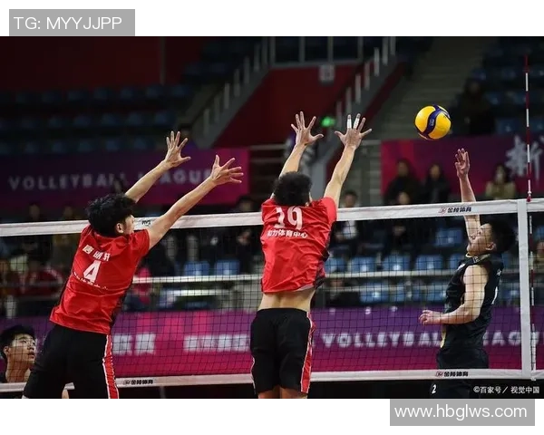 陈娜独家分享排球心得与技巧助你提升球技的秘诀与经验