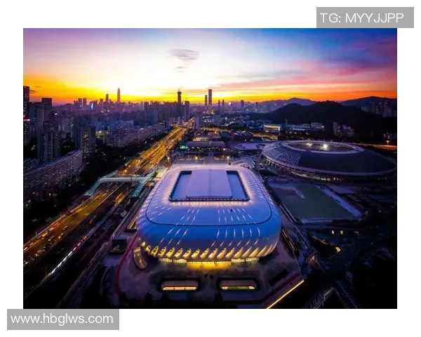 深圳羽毛球队荣登羽毛球意识排行榜首位引领全国羽毛球发展新潮流